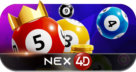 others-Nex4D-web