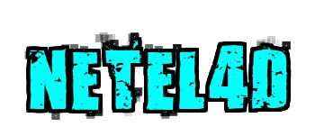 Netel4d