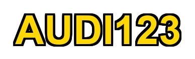 Audi123