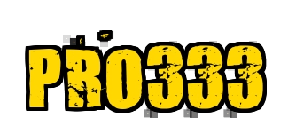 Pro333