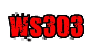 Ws303